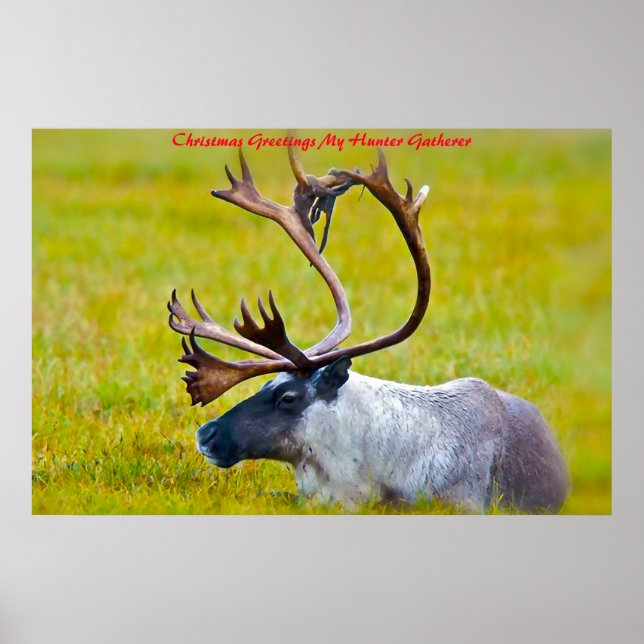 Weihnachtsgrüße Mein Jäger Gatherer Poster (Vorne)