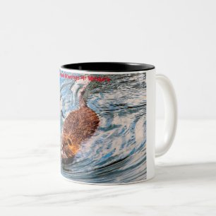 Weihnachtsgrüße Mein kleiner Biber Zweifarbige Tasse