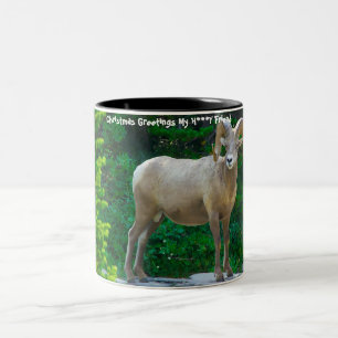 Weihnachtsgrüße Mein Liebling Zweifarbige Tasse