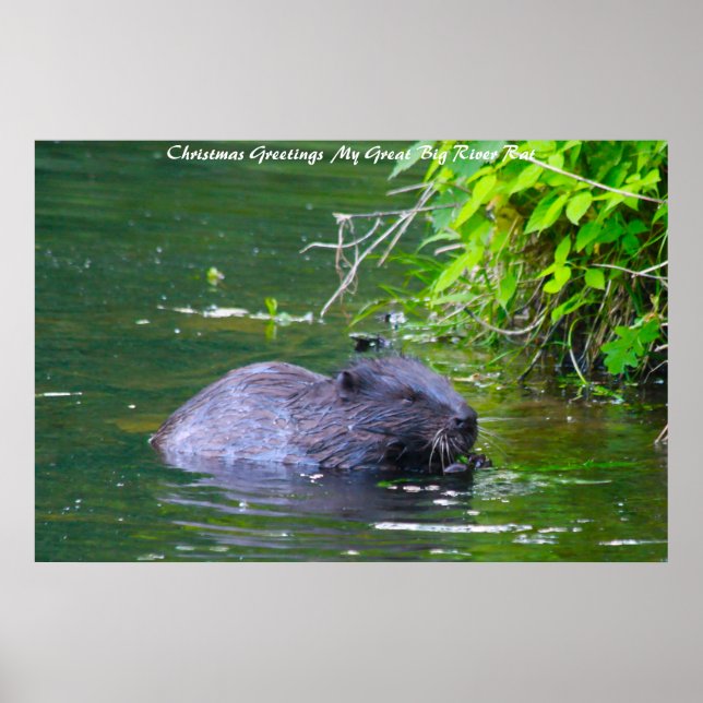 Weihnachtsgrüße Poster (Vorne)