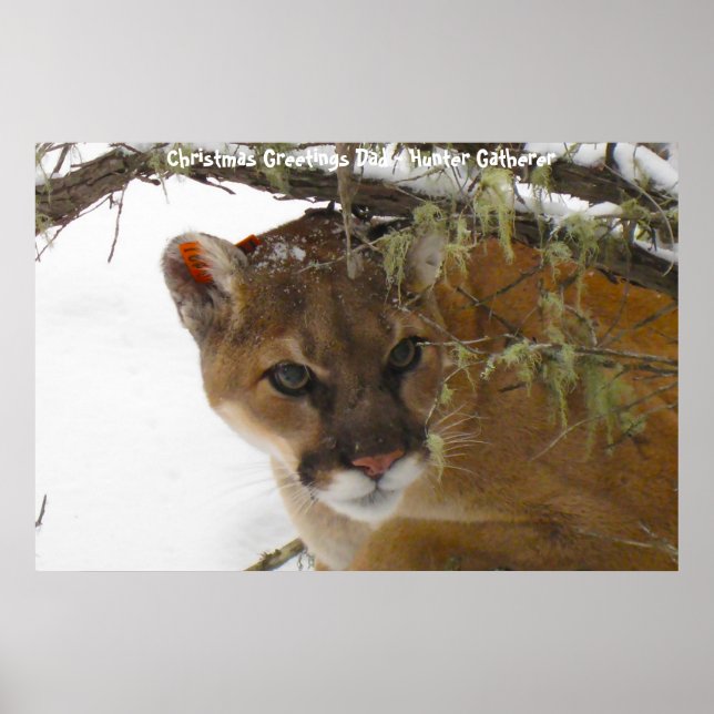 Weihnachtsgrüße Vater Hunter Gatherer Poster (Vorne)