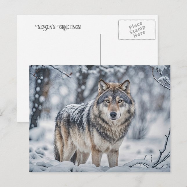 Weihnachtsgrüße Wolf im Schnee Feiertagspostkarte (Vorne/Hinten)