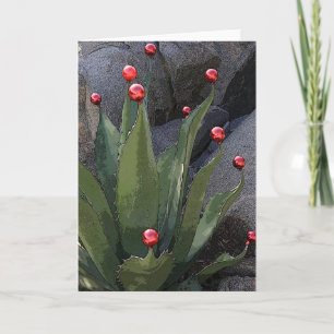 Weihnachtsgrußkarte mit Agave Feiertagskarte