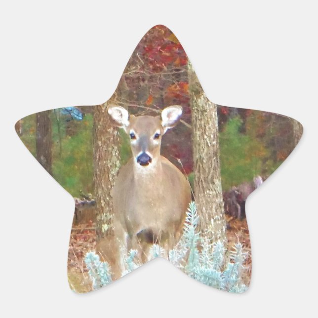 Weihnachtshändler Stern-Aufkleber (Vorderseite)