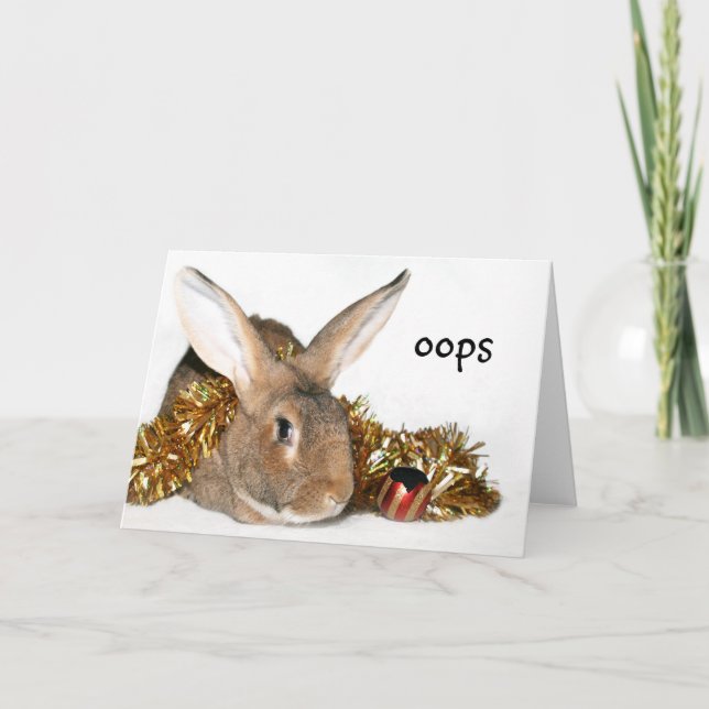 Weihnachtshäschen Boo Boo Feiertagskarte (Vorderseite)