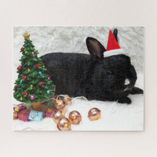 Weihnachtshasen in der Weihnachtsmannmütze