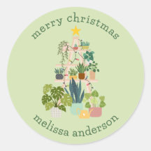 Weihnachtshaus-Pflanze