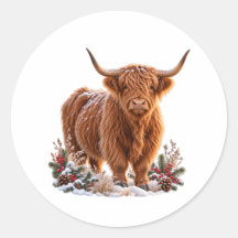 Weihnachtshochlandkuh Verschneite Winterlandschaft