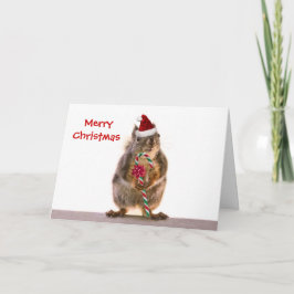 Weihnachtshörnchen mit Candy Cane Feiertagskarte