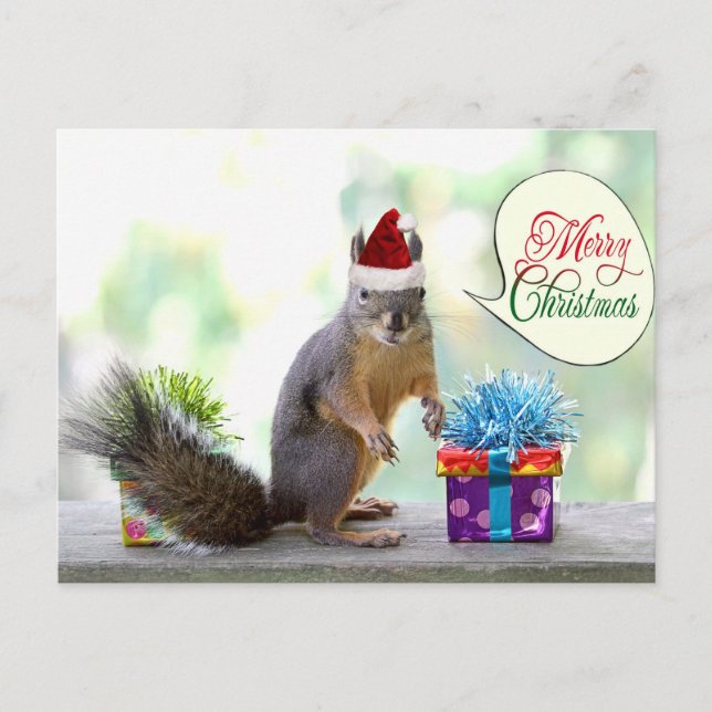 Weihnachtshörnchen mit Weihnachtsgeschenken Feiertagspostkarte (Vorderseite)