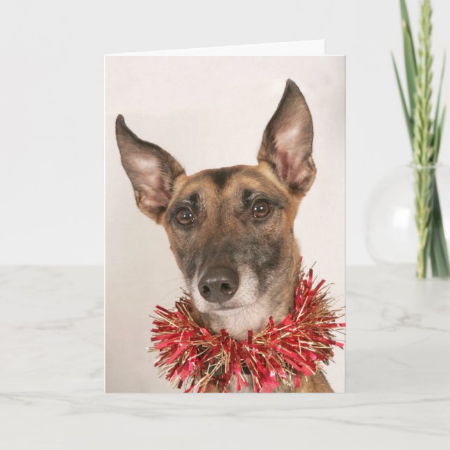 Weihnachtshund 1 feiertagskarte (Vorderseite)