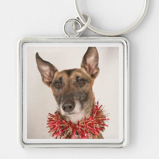 Weihnachtshund 1 schlüsselanhänger (Vorne)
