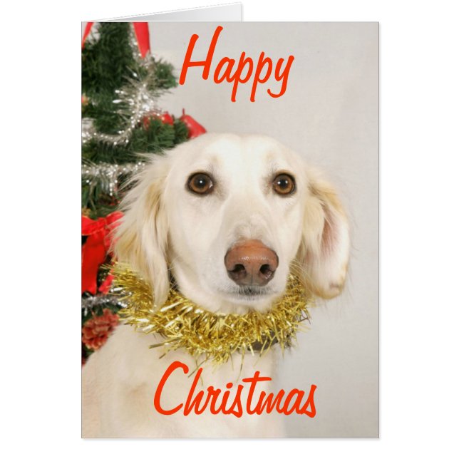 Weihnachtshund 2 (Vorne)