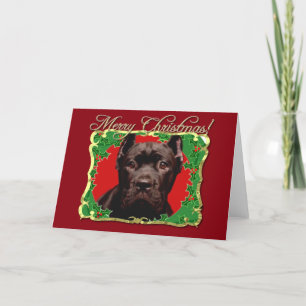 Weihnachtshund Cane Corso Feiertagskarte