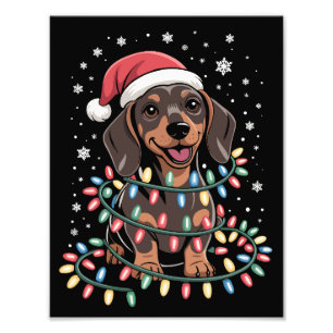 Weihnachtshund Dachshund Weihnachtsmann Xmas Wiene Fotodruck