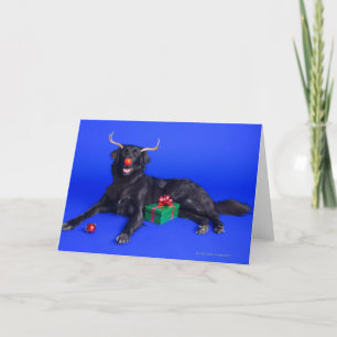 Weihnachtshund Feiertagskarte