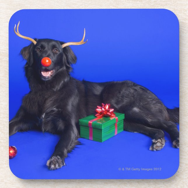 Weihnachtshund Getränkeuntersetzer (Vorderseite)