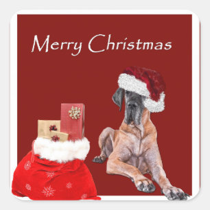 Weihnachtshund Großes Dane Quadratischer Aufkleber