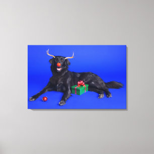 Weihnachtshund Leinwanddruck