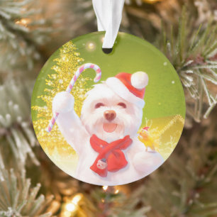 Weihnachtshund mit Candy Cane Ornament