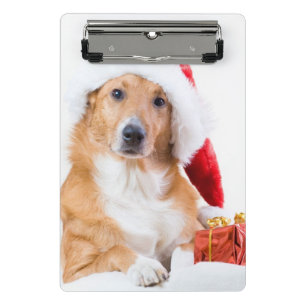 Weihnachtshund mit dem Geweih und den bunten Mini Klemmbrett