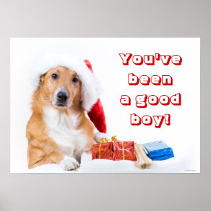 Weihnachtshund mit dem Geweih und den bunten Poster