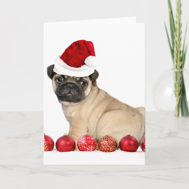 Weihnachtshund Mops Feiertagskarte (Vorderseite)