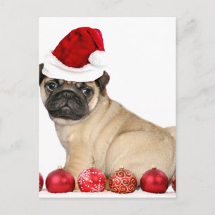 Weihnachtshund Mops Feiertagspostkarte