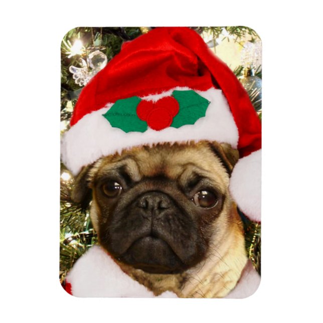 Weihnachtshund Mops Magnet (Vertikal)