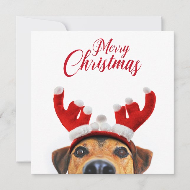 Weihnachtshund Niedlich Funny Reindeer Antler Head Einladung (Vorderseite)