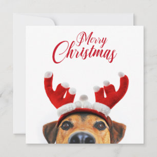 Weihnachtshund Niedlich Funny Reindeer Antler Head Einladung