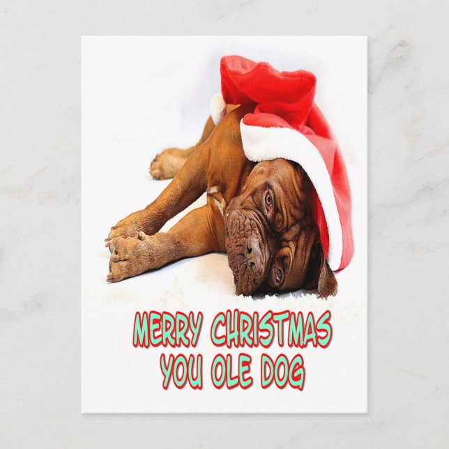 Weihnachtshund Postkarte (Vorderseite)