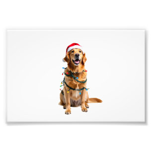 Weihnachtshund-Shirt, Weihnachten Golden Retriever Fotodruck