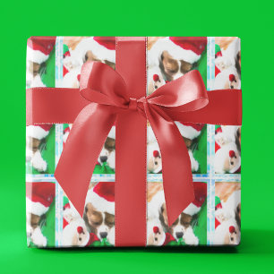Weihnachtshund Welpe Cavalier King Charles Spaniel Geschenkpapier
