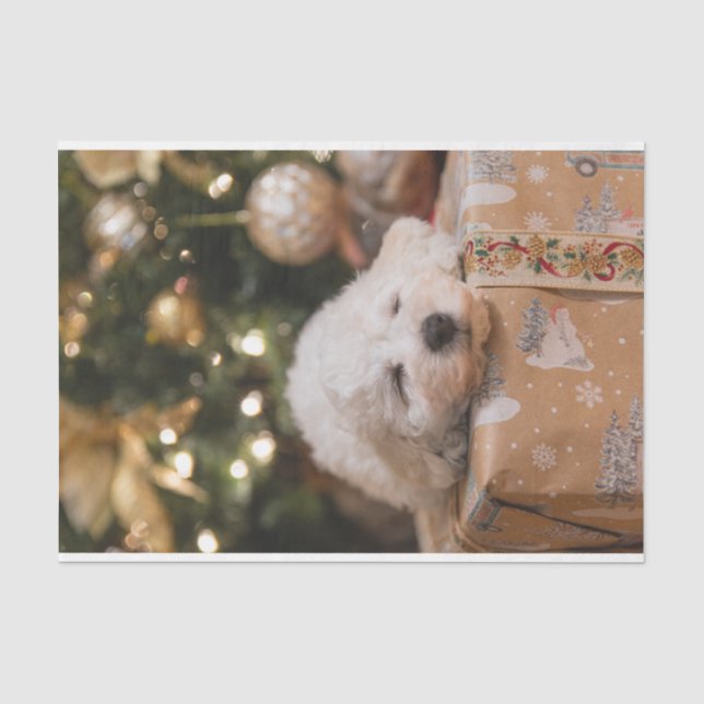 Weihnachtshund Welpenurlaub Saisonale Entdeckungsr Seidenpapier (Vorderseite)