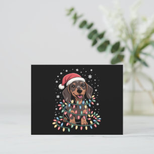 Weihnachtshunde Dackel Weihnachten Weihnachten Dac