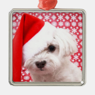 Weihnachtshundeverzierung Silbernes Ornament