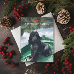 Weihnachtsjelper Niedlicher Hund Weihnachts-Foto Feiertagskarte<br><div class="desc">Spaß Weihnachts-Doggy-Pun; perfekt für Ihre Jungtiere; wählen Sie einen die Schnitt und Papiertyp,  fügen Sie eine Nachricht oder mehr Fotos auf den Rücken,  wenn gewünscht.</div>
