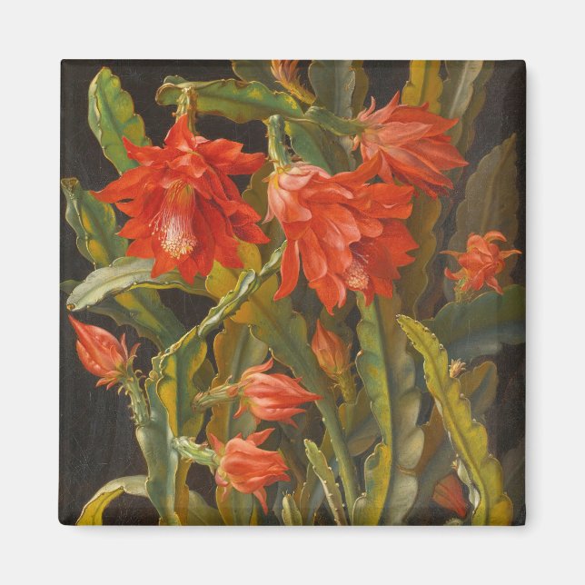 Weihnachtskaktus | Christliches Möllback Magnet (Vorne)