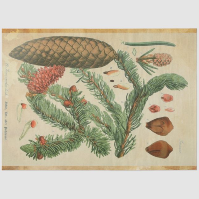 Weihnachtskalender Seidenpapier (Vorderseite)