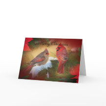 WeihnachtsKardinäle