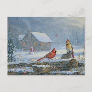 WeihnachtsKardinäle Postkarte
