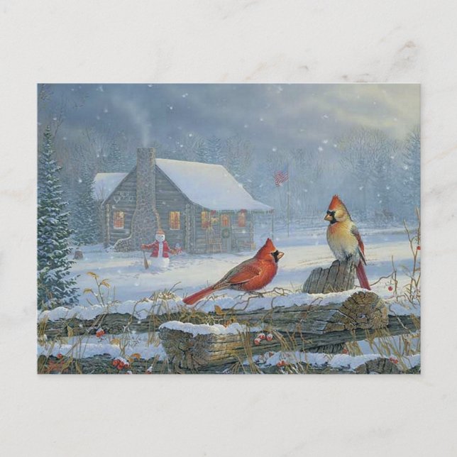 WeihnachtsKardinäle Postkarte (Vorderseite)