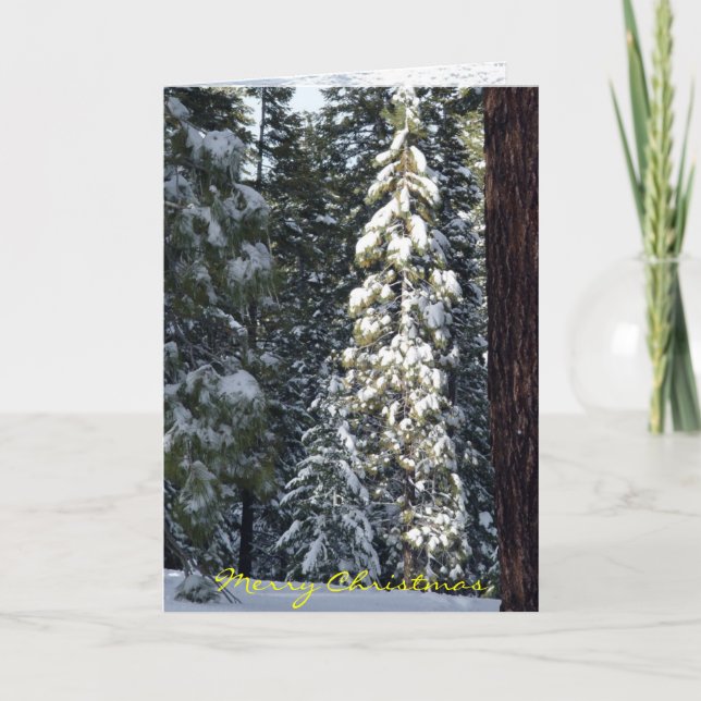 Weihnachtskarte 2006 feiertagskarte (Vorderseite)