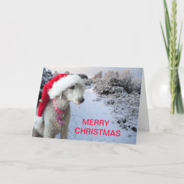 Weihnachtskarte Feiertagskarte