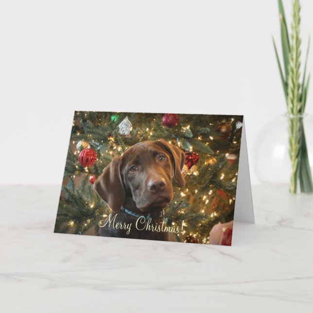 Weihnachtskarte Feiertagskarte (Vorderseite)