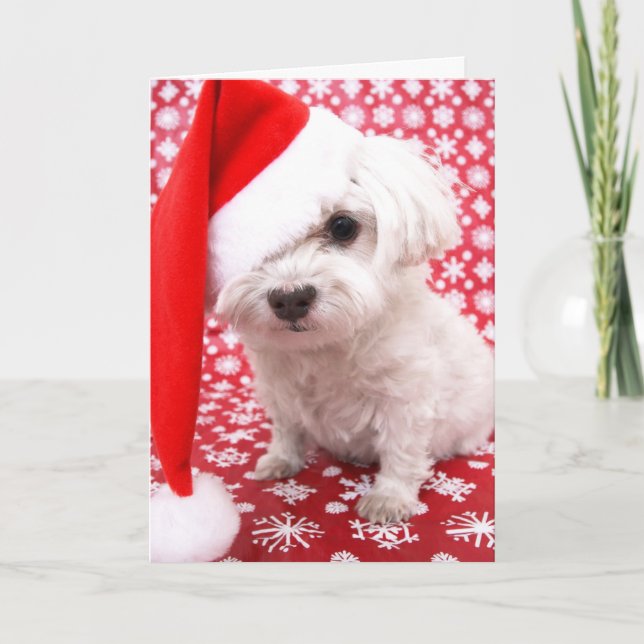 Weihnachtskarte Feiertagskarte (Vorderseite)