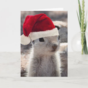 Weihnachtskarte Feiertagskarte