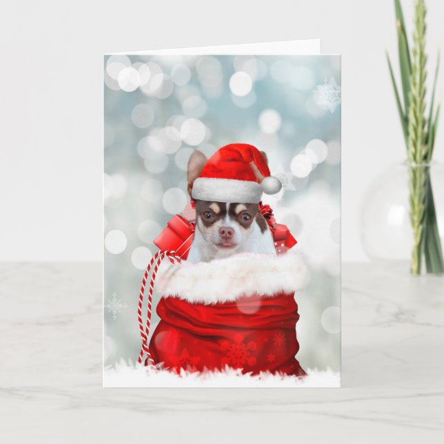 Weihnachtskarte für Chihuahua Feiertagskarte (Vorderseite)