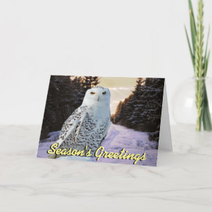 Weihnachtskarte für die Schneeeule Feiertagskarte